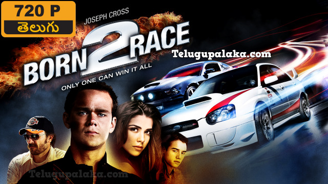 Born to Race (2011) Telugu Dubbed Movie