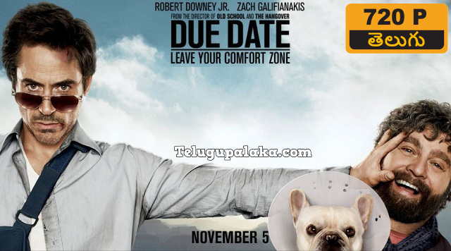 Due Date (2010) Telugu Dubbed Movie