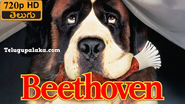 Beethoven (1992) Telugu Dubbed Movie