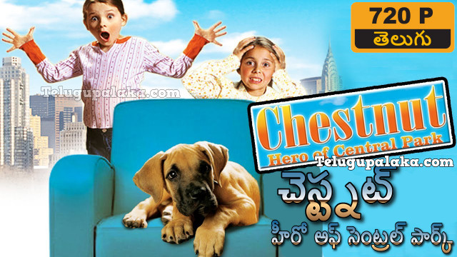 Chestnut Hero of Central Park (2004) Telugu Dubbed Movie
