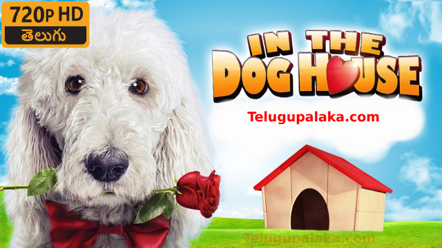 In the Dog House (2014) Telugu Dubbed Movie